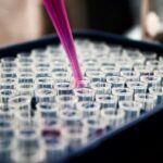 Glass beakers