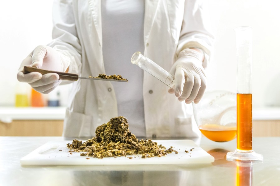 Scientist testing kratom in a lab